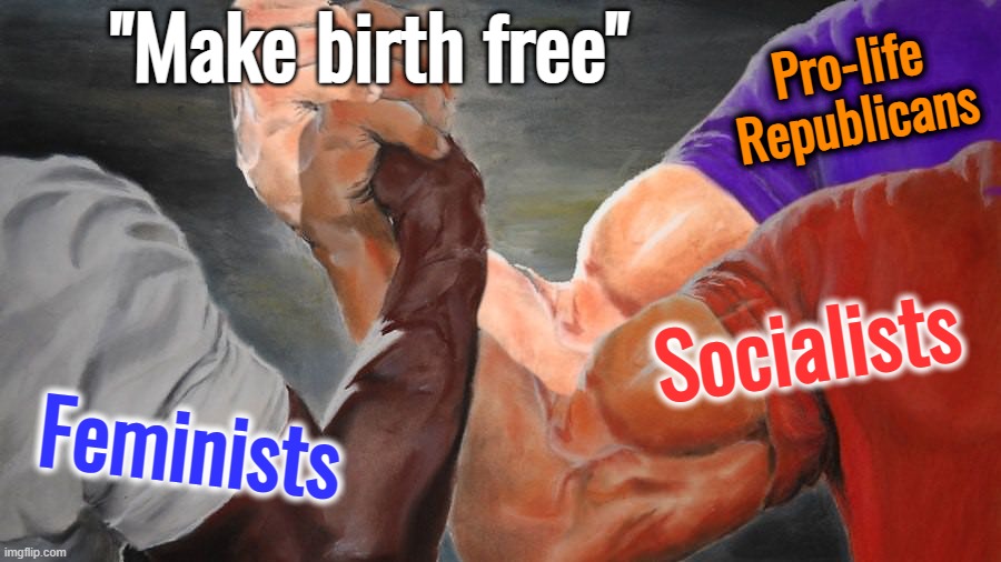Modest proposal: Regardless of politics, support new mothers | "Make birth free"; Pro-life Republicans; Socialists; Feminists | image tagged in epic handshake three way | made w/ Imgflip meme maker
