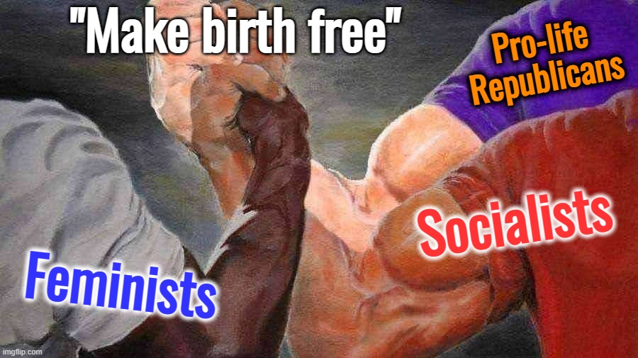 Modest proposal: Regardless of politics, support new mothers | "Make birth free"; Pro-life Republicans; Socialists; Feminists | image tagged in epic handshake three way,feminists,feminist,socialist,pro-life,socialism | made w/ Imgflip meme maker