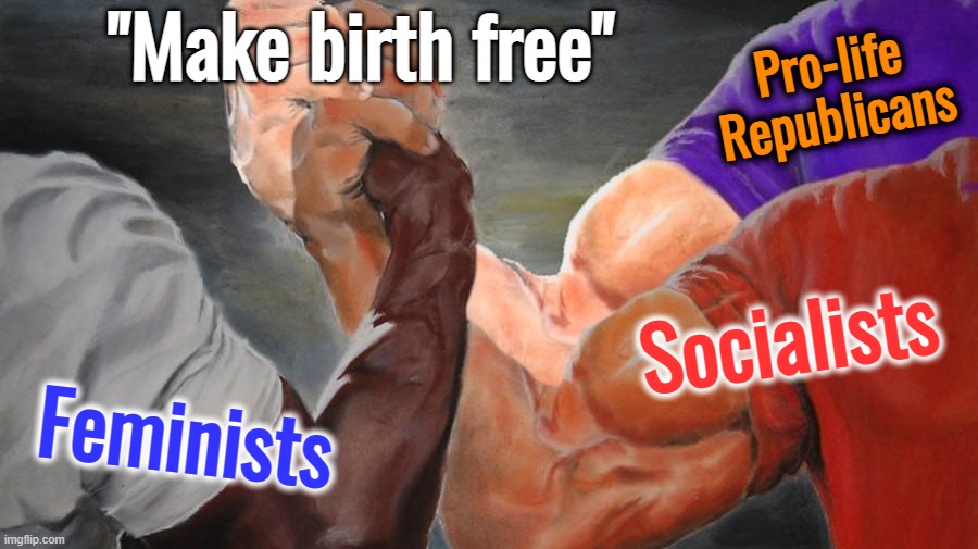 Modest proposal: Regardless of politics, support new mothers | "Make birth free"; Pro-life Republicans; Socialists; Feminists | image tagged in epic handshake three way,abortion,pro-life,pro-choice,healthcare,socialism | made w/ Imgflip meme maker
