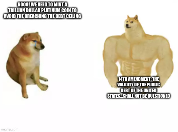 buff doge vs cheems reversed | NOOO! WE NEED TO MINT A TRILLION DOLLAR PLATINUM COIN TO AVOID THE BREACHING THE DEBT CEILING; 14TH AMENDMENT: THE VALIDITY OF THE PUBLIC DEBT OF THE UNITED STATES...SHALL NOT BE QUESTIONED | image tagged in buff doge vs cheems reversed | made w/ Imgflip meme maker