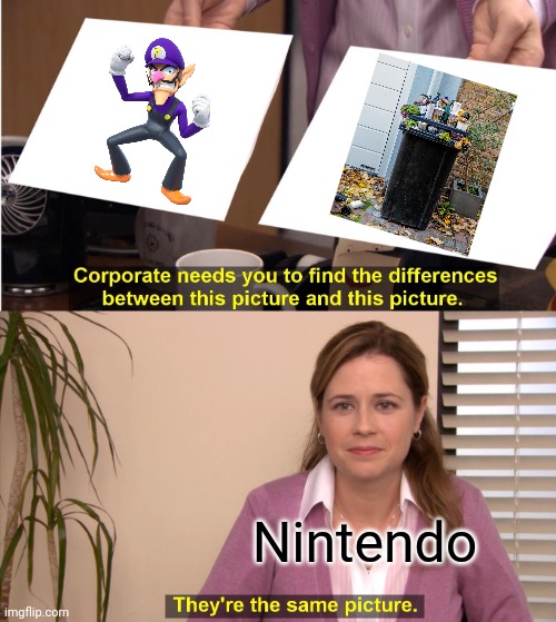 They're The Same Picture | Nintendo | image tagged in memes,they're the same picture | made w/ Imgflip meme maker