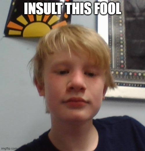 INSULT THIS FOOL | made w/ Imgflip meme maker