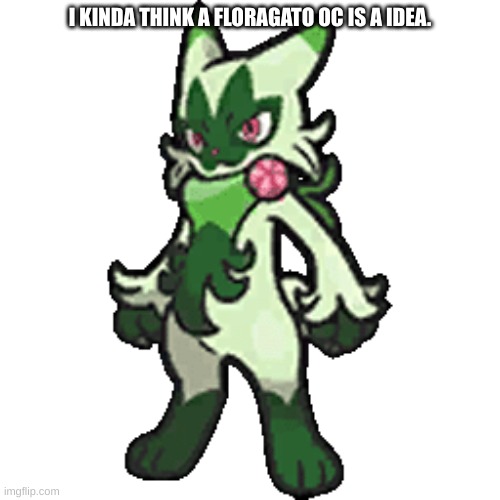 Floragato | I KINDA THINK A FLORAGATO OC IS A IDEA. | image tagged in floragato | made w/ Imgflip meme maker