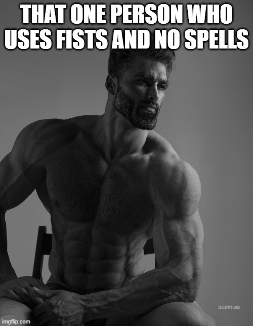 Giga Chad | THAT ONE PERSON WHO USES FISTS AND NO SPELLS | image tagged in giga chad | made w/ Imgflip meme maker