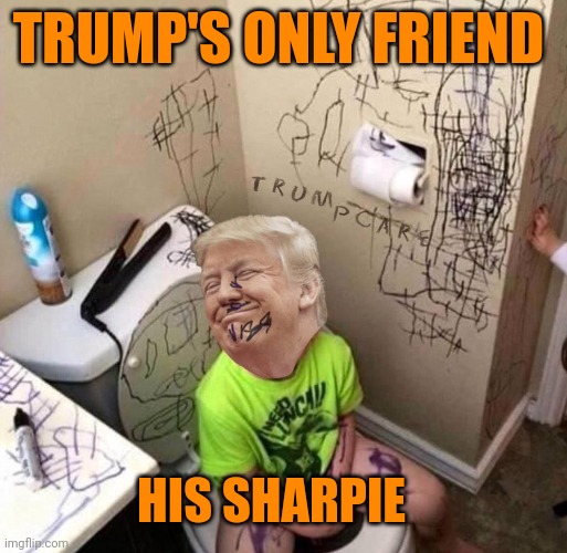 Sharpie Trump | TRUMP'S ONLY FRIEND HIS SHARPIE | image tagged in sharpie trump | made w/ Imgflip meme maker