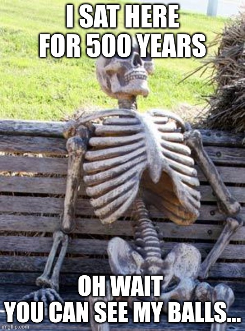 500 years | I SAT HERE FOR 500 YEARS; OH WAIT 
YOU CAN SEE MY BALLS... | image tagged in memes,waiting skeleton,skeleton | made w/ Imgflip meme maker