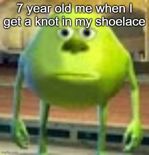 Sully Wazowski | 7 year old me when I get a knot in my shoelace | image tagged in sully wazowski,fun,meme | made w/ Imgflip meme maker