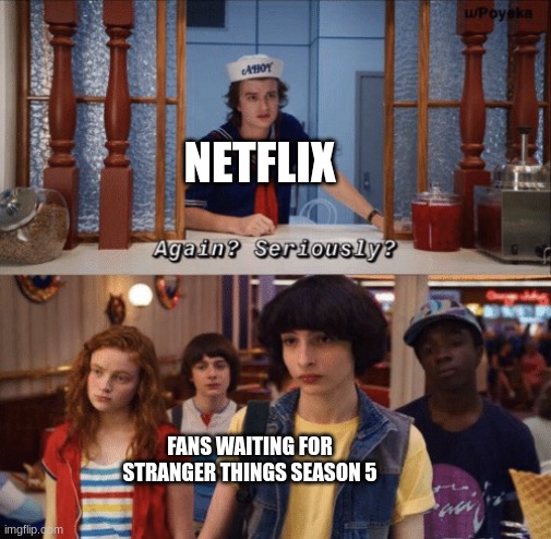 everyone wants this | NETFLIX; FANS WAITING FOR STRANGER THINGS SEASON 5 | image tagged in again seriously | made w/ Imgflip meme maker