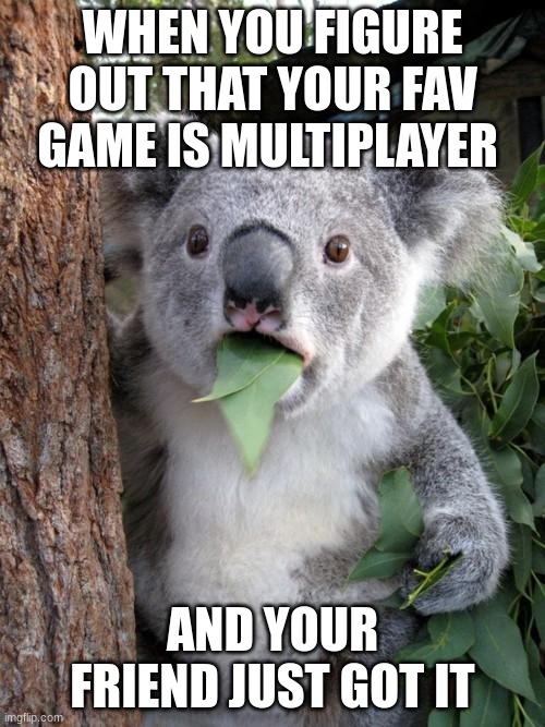 Surprised Koala | WHEN YOU FIGURE OUT THAT YOUR FAV GAME IS MULTIPLAYER; AND YOUR FRIEND JUST GOT IT | image tagged in memes,surprised koala | made w/ Imgflip meme maker