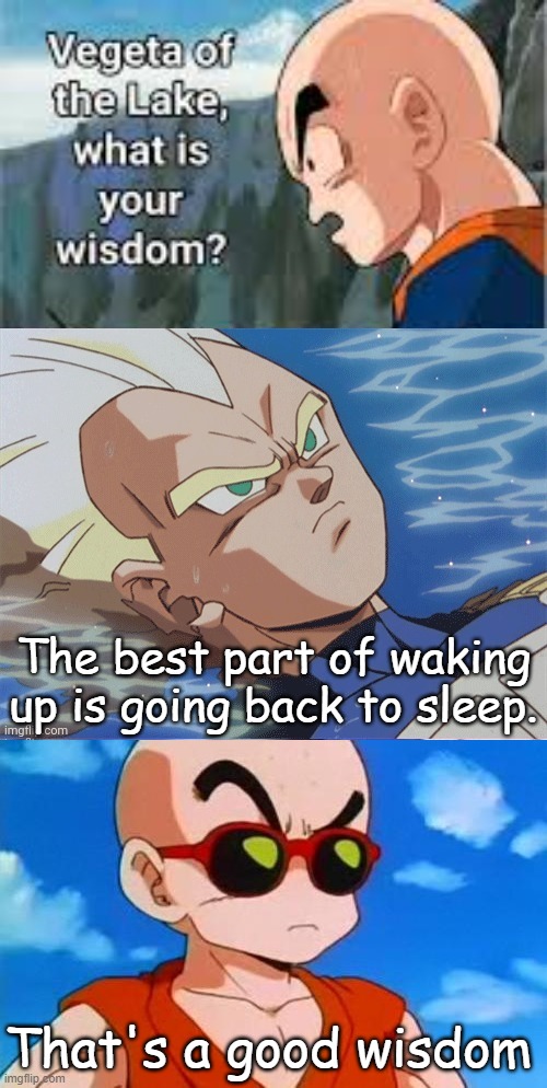 The best part of waking up is going back to sleep. That's a good wisdom | image tagged in vegeta of the lake what is your wisdom,dragon ball z krillin swag,sleep,the best part of waking up,is going back to sleep | made w/ Imgflip meme maker