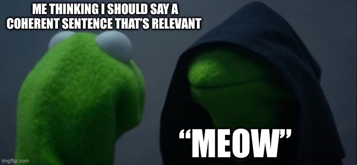 Language is complex | ME THINKING I SHOULD SAY A COHERENT SENTENCE THAT’S RELEVANT; “MEOW” | image tagged in memes,evil kermit,meow,talking,weird,strange | made w/ Imgflip meme maker