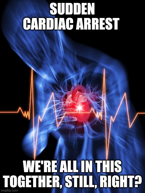 Sudden Cardiac Arrest | SUDDEN CARDIAC ARREST; WE'RE ALL IN THIS TOGETHER, STILL, RIGHT? | image tagged in heart,attack,covid | made w/ Imgflip meme maker