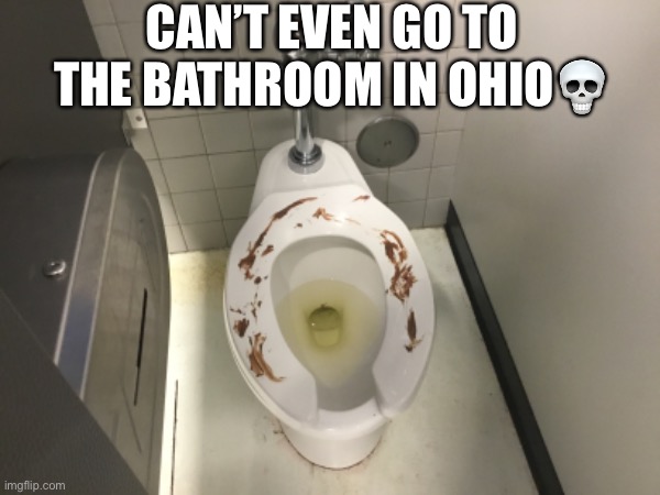 Can’t even go to the bathroom in Ohio | CAN’T EVEN GO TO THE BATHROOM IN OHIO💀 | image tagged in ohio,toilet | made w/ Imgflip meme maker