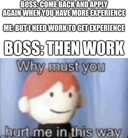 A bit of a chicken and egg problem | BOSS: COME BACK AND APPLY AGAIN WHEN YOU HAVE MORE EXPERIENCE; ME: BUT I NEED WORK TO GET EXPERIENCE; BOSS: THEN WORK | image tagged in why must you hurt me in this way,work | made w/ Imgflip meme maker