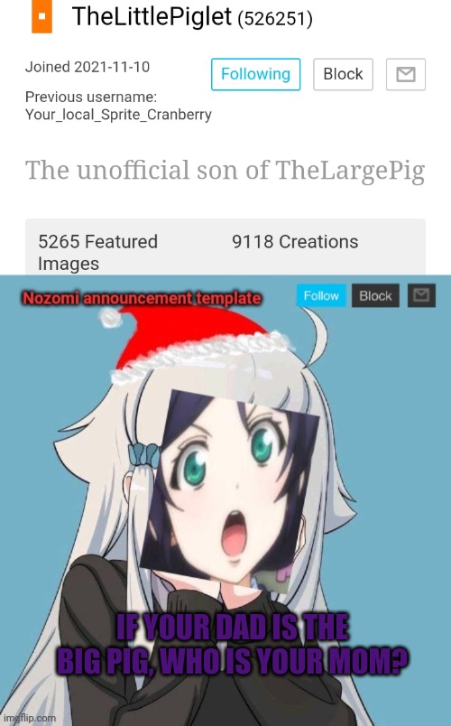 IF YOUR DAD IS THE BIG PIG, WHO IS YOUR MOM? | image tagged in no lewis only nozomi | made w/ Imgflip meme maker