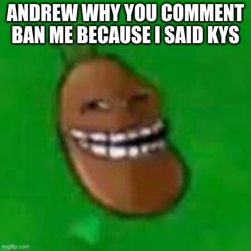 troll coffee bean | ANDREW WHY YOU COMMENT BAN ME BECAUSE I SAID KYS | image tagged in troll coffee bean | made w/ Imgflip meme maker