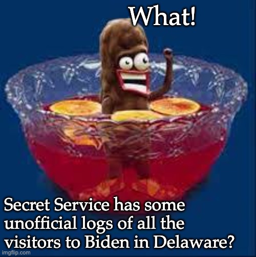 Hillary's mistake, was leaving an email trail. | What! Secret Service has some unofficial logs of all the visitors to Biden in Delaware? | image tagged in turd in the punchbowl,biden crime family,friend of bill,influence peddling | made w/ Imgflip meme maker