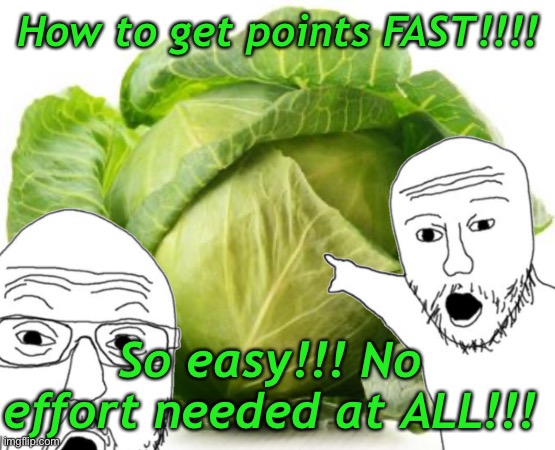 New Imgflippers be like | How to get points FAST!!!! So easy!!! No effort needed at ALL!!! | image tagged in upvote beggars,cabbage,ads | made w/ Imgflip meme maker