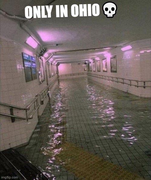 Flooded subway | ONLY IN OHIO💀 | image tagged in flooded subway | made w/ Imgflip meme maker