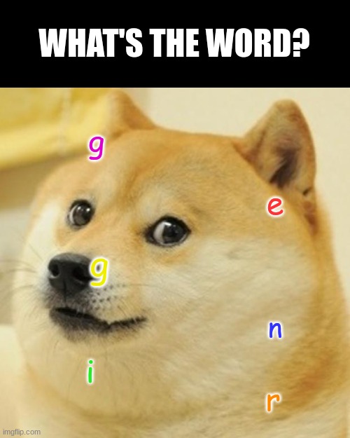 Doge Meme | WHAT'S THE WORD? g; e; g; n; i; r | image tagged in memes,doge | made w/ Imgflip meme maker