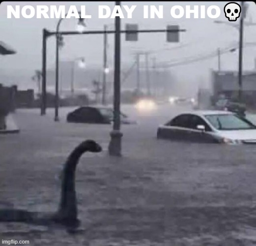 Only in Ohio | NORMAL DAY IN OHIO💀 | image tagged in flood loch ness | made w/ Imgflip meme maker