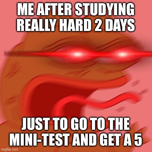 Rage Pepe | ME AFTER STUDYING REALLY HARD 2 DAYS; JUST TO GO TO THE MINI-TEST AND GET A 5 | image tagged in rage pepe | made w/ Imgflip meme maker