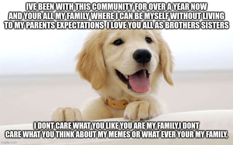 i think of this community as my family | IVE BEEN WITH THIS COMMUNITY FOR OVER A YEAR NOW AND YOUR ALL MY FAMILY WHERE I CAN BE MYSELF WITHOUT LIVING TO MY PARENTS EXPECTATIONS  I LOVE YOU ALL AS BROTHERS SISTERS; I DONT CARE WHAT YOU LIKE YOU ARE MY FAMILY,I DONT CARE WHAT YOU THINK ABOUT MY MEMES OR WHAT EVER YOUR MY FAMILY, | image tagged in cute dog idiot | made w/ Imgflip meme maker