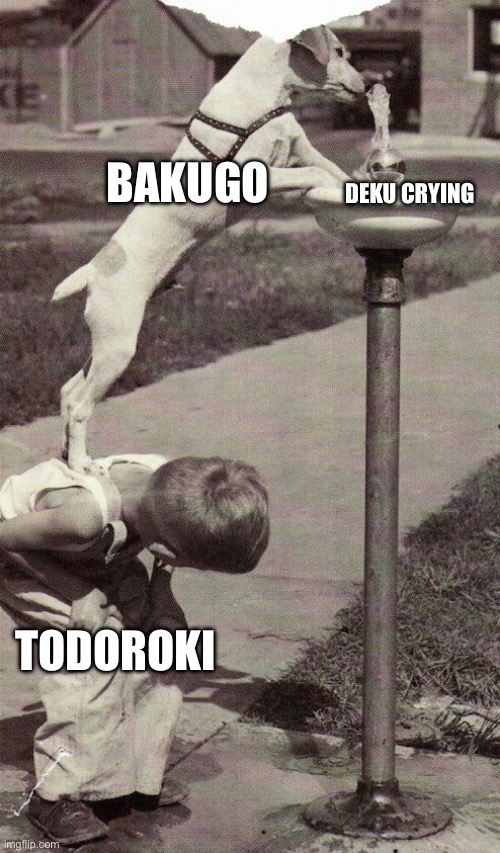 Teamwork Dog Water Fountain | BAKUGO; DEKU CRYING; TODOROKI | image tagged in teamwork dog water fountain | made w/ Imgflip meme maker