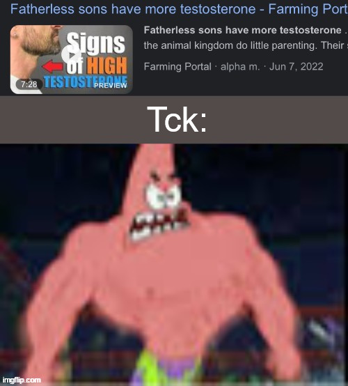 Fatherless sons have more testosterone | Tck: | image tagged in fatherless sons have more testosterone | made w/ Imgflip meme maker