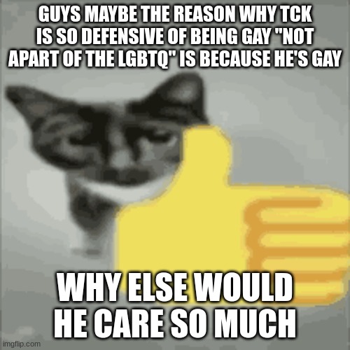 he's so damn retarded bro | GUYS MAYBE THE REASON WHY TCK IS SO DEFENSIVE OF BEING GAY "NOT APART OF THE LGBTQ" IS BECAUSE HE'S GAY; WHY ELSE WOULD HE CARE SO MUCH | image tagged in cat thumbs up | made w/ Imgflip meme maker