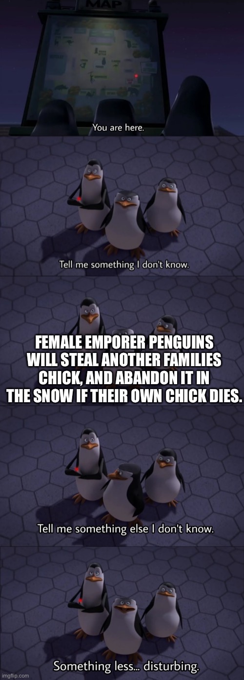 .__. | FEMALE EMPORER PENGUINS WILL STEAL ANOTHER FAMILIES CHICK, AND ABANDON IT IN THE SNOW IF THEIR OWN CHICK DIES. | image tagged in tell me something i don't know,what | made w/ Imgflip meme maker