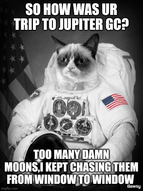 Grumpy Spacecat | SO HOW WAS UR TRIP TO JUPITER GC? TOO MANY DAMN MOONS,I KEPT CHASING THEM FROM WINDOW TO WINDOW | image tagged in grumpy spacecat | made w/ Imgflip meme maker