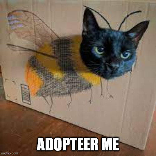 ADOPTEER ME | made w/ Imgflip meme maker