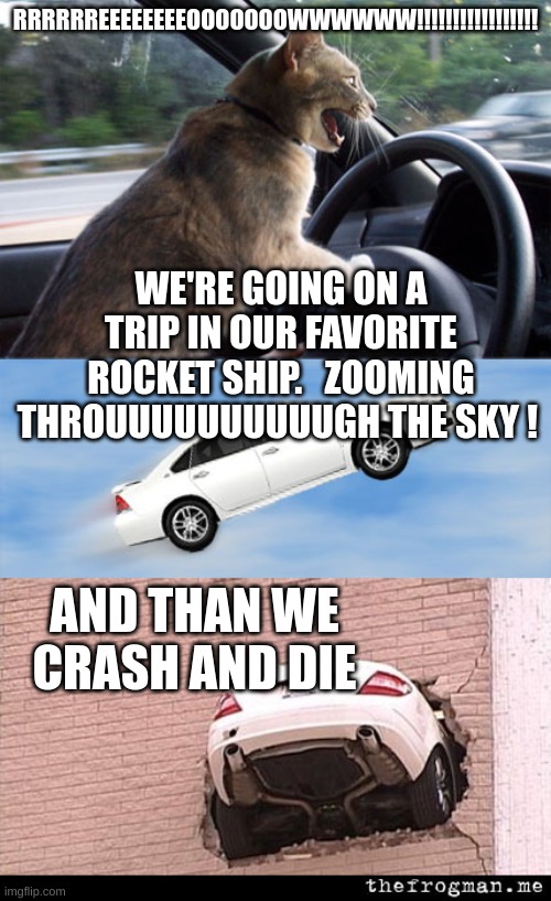 cat car | RRRRRREEEEEEEEOOOOOOOWWWWWW!!!!!!!!!!!!!!!!! WE'RE GOING ON A TRIP IN OUR FAVORITE ROCKET SHIP.   ZOOMING THROUUUUUUUUUUGH THE SKY ! AND THAN WE CRASH AND DIE | image tagged in cat car | made w/ Imgflip meme maker