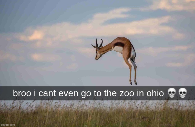 only in ohio bro -_- | broo i cant even go to the zoo in ohio | image tagged in ohio,only in ohio,dank,photoshop | made w/ Imgflip meme maker