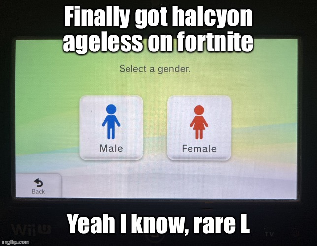 Ballin | Finally got halcyon ageless on fortnite; Yeah I know, rare L | image tagged in baller | made w/ Imgflip meme maker
