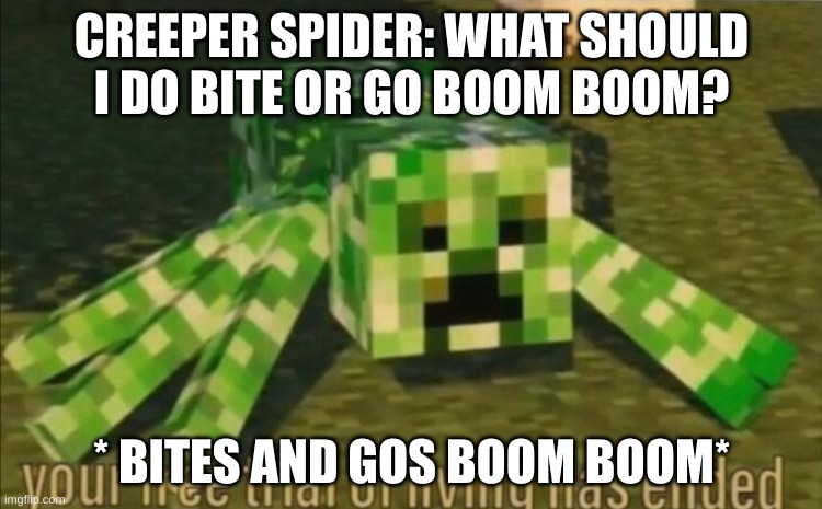 Creeper | CREEPER SPIDER: WHAT SHOULD I DO BITE OR GO BOOM BOOM? * BITES AND GOS BOOM BOOM* | image tagged in memes | made w/ Imgflip meme maker