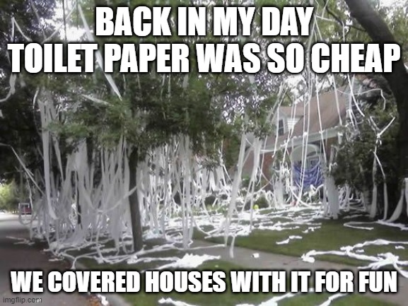 Toilet papered house | BACK IN MY DAY TOILET PAPER WAS SO CHEAP; WE COVERED HOUSES WITH IT FOR FUN | image tagged in toilet papered house | made w/ Imgflip meme maker