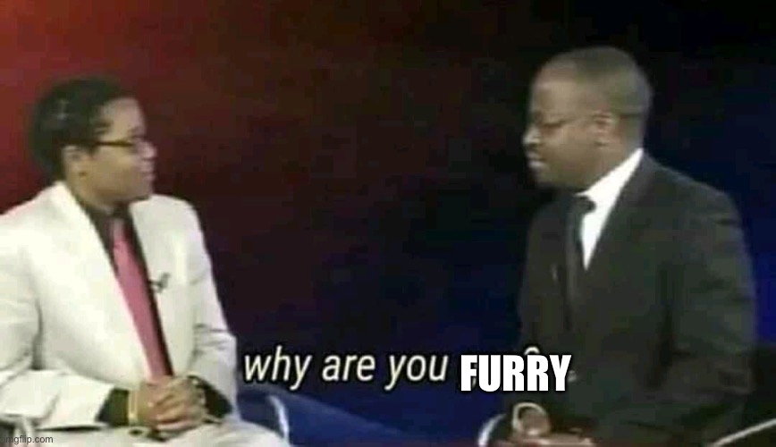 Why are you gay? | FURRY | image tagged in why are you gay | made w/ Imgflip meme maker