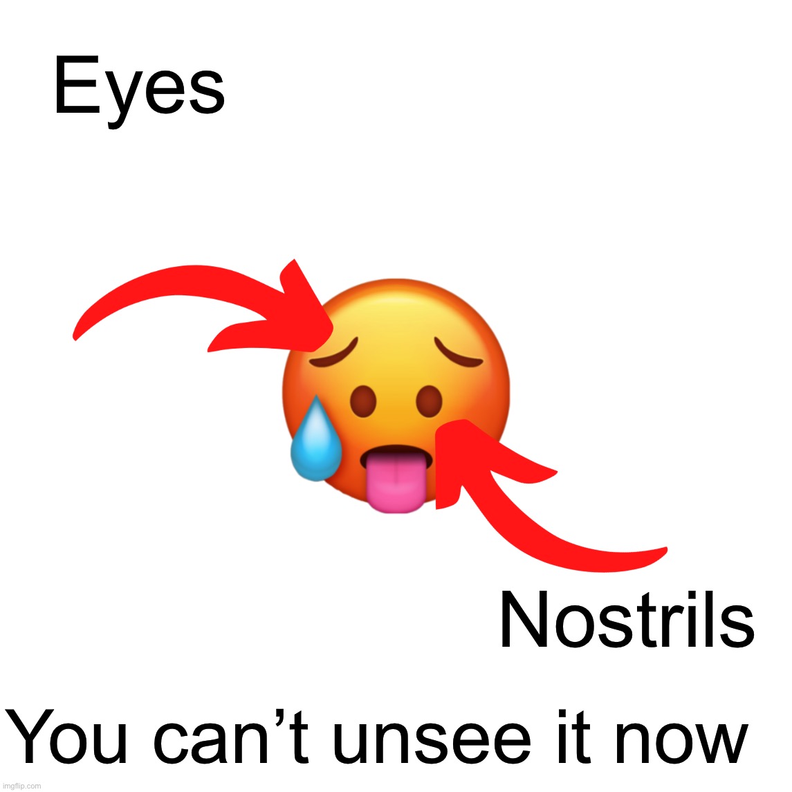 hot emoji | Eyes Nostrils You can’t unsee it now | image tagged in hot emoji | made w/ Imgflip meme maker