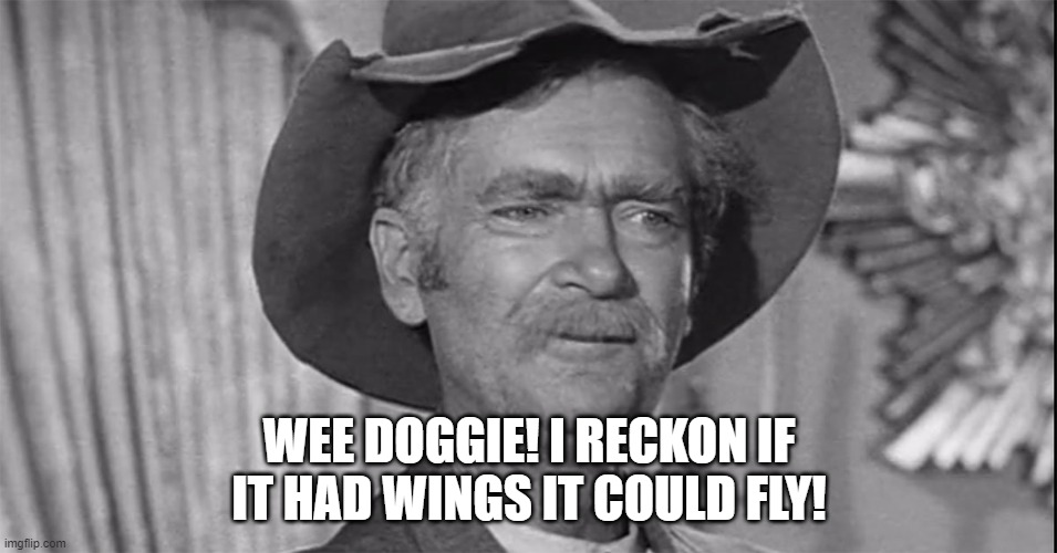 The Beverly Hillbillies-Jed Clampett | WEE DOGGIE! I RECKON IF IT HAD WINGS IT COULD FLY! | image tagged in beverly hillbillies,jed clampett | made w/ Imgflip meme maker