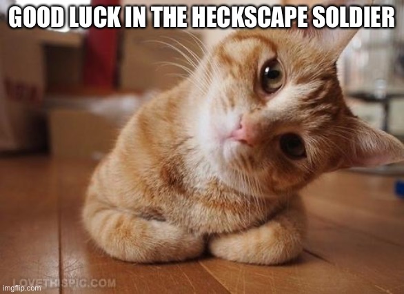 Curious Question Cat | GOOD LUCK IN THE HECKSCAPE SOLDIER | image tagged in curious question cat | made w/ Imgflip meme maker