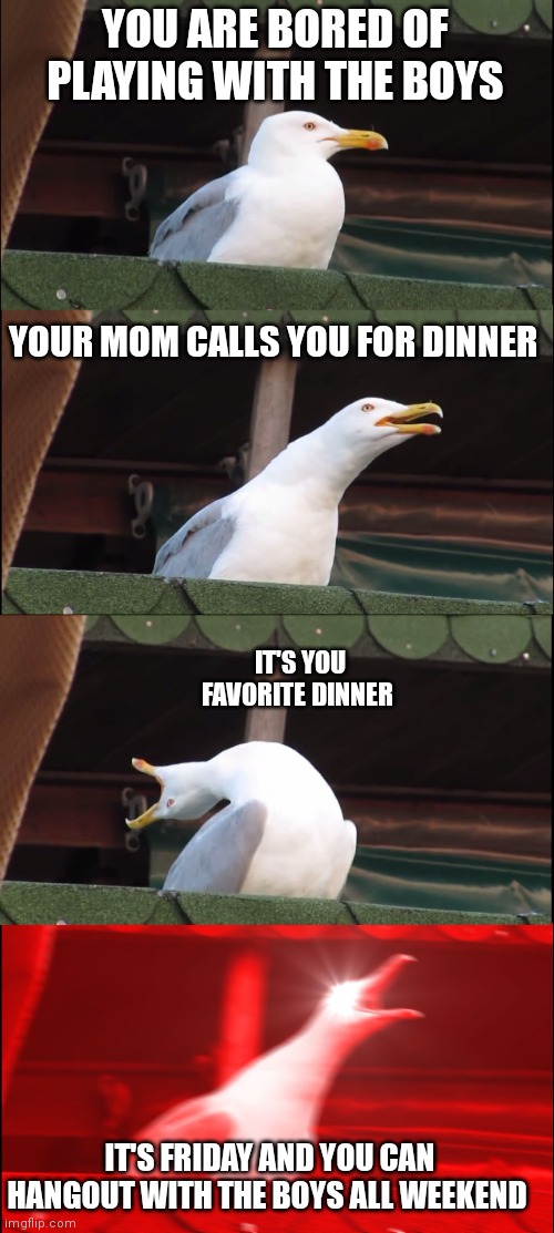 Inhaling Seagull | YOU ARE BORED OF PLAYING WITH THE BOYS; YOUR MOM CALLS YOU FOR DINNER; IT'S YOU FAVORITE DINNER; IT'S FRIDAY AND YOU CAN HANGOUT WITH THE BOYS ALL WEEKEND | image tagged in memes,inhaling seagull | made w/ Imgflip meme maker