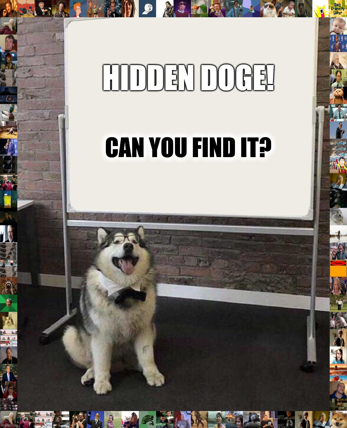 Not so hidden if you look around the border | HIDDEN DOGE! CAN YOU FIND IT? | image tagged in professor doggo | made w/ Imgflip meme maker