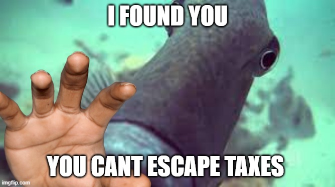 Taxes | I FOUND YOU; YOU CANT ESCAPE TAXES | image tagged in fish,taxes | made w/ Imgflip meme maker