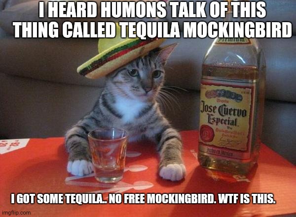 Purr me another one | I HEARD HUMONS TALK OF THIS THING CALLED TEQUILA MOCKINGBIRD; I GOT SOME TEQUILA.. NO FREE MOCKINGBIRD. WTF IS THIS. | image tagged in alcohol cat,tequila,it makes me happy | made w/ Imgflip meme maker