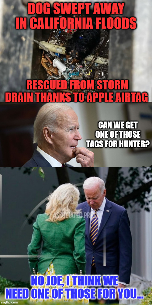 Dog swept away in California floods rescued from storm drain | DOG SWEPT AWAY IN CALIFORNIA FLOODS; RESCUED FROM STORM DRAIN THANKS TO APPLE AIRTAG; CAN WE GET ONE OF THOSE TAGS FOR HUNTER? NO JOE, I THINK WE NEED ONE OF THOSE FOR YOU... | image tagged in feel good,news,dementia,joe biden | made w/ Imgflip meme maker