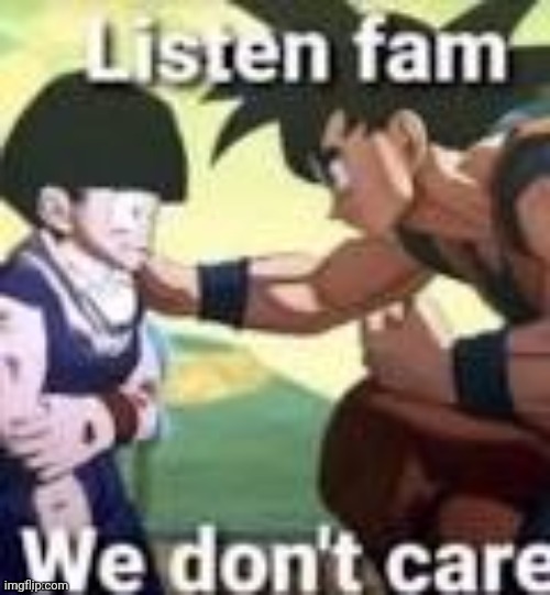 Listen fam we dont care | image tagged in listen fam we dont care | made w/ Imgflip meme maker