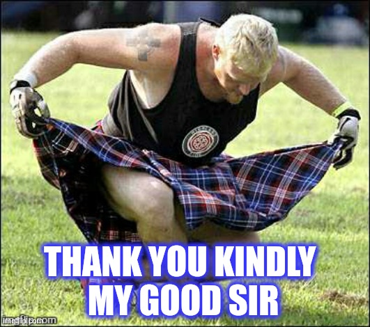 Bow | THANK YOU KINDLY 
MY GOOD SIR | image tagged in bow | made w/ Imgflip meme maker