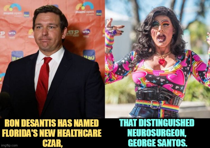 God, Republicans are strange. | RON DESANTIS HAS NAMED 
FLORIDA'S NEW HEALTHCARE 
CZAR, THAT DISTINGUISHED 
NEUROSURGEON, 
GEORGE SANTOS. | image tagged in ron desantis,florida,republican,homophobe,george santos,liar | made w/ Imgflip meme maker